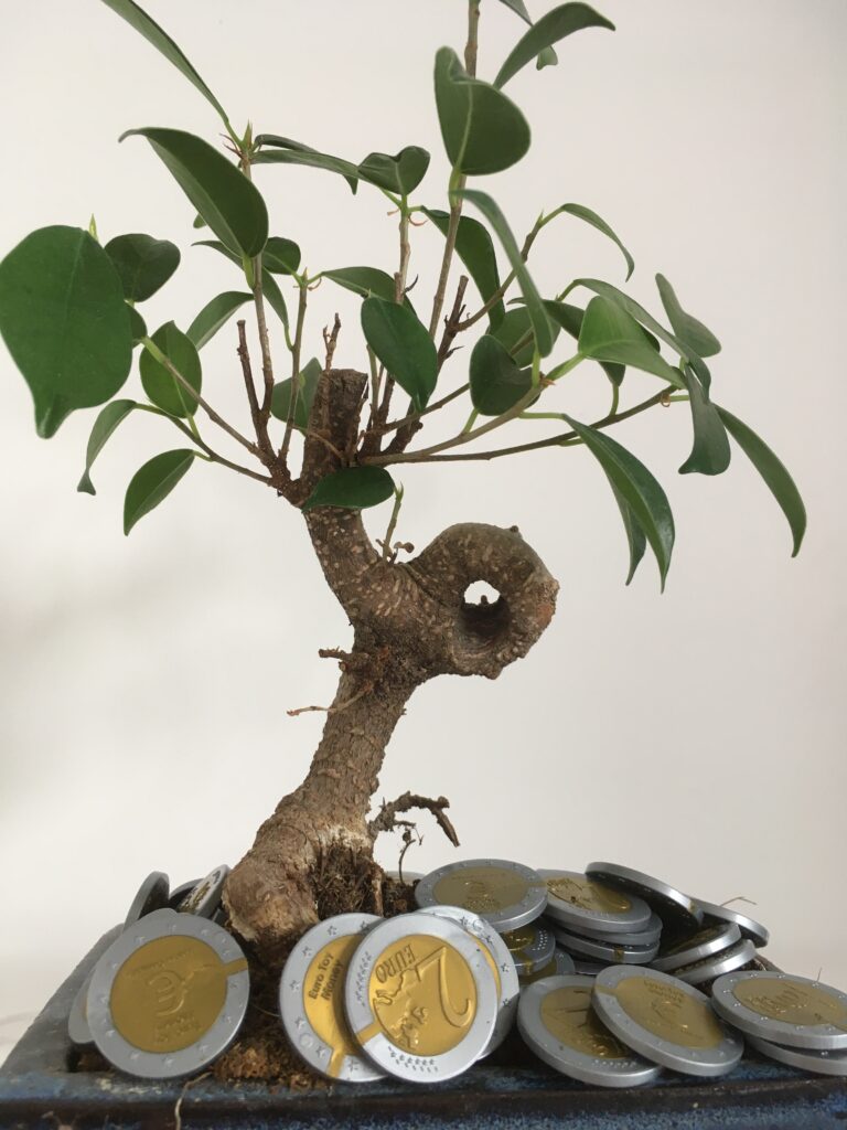 money grows